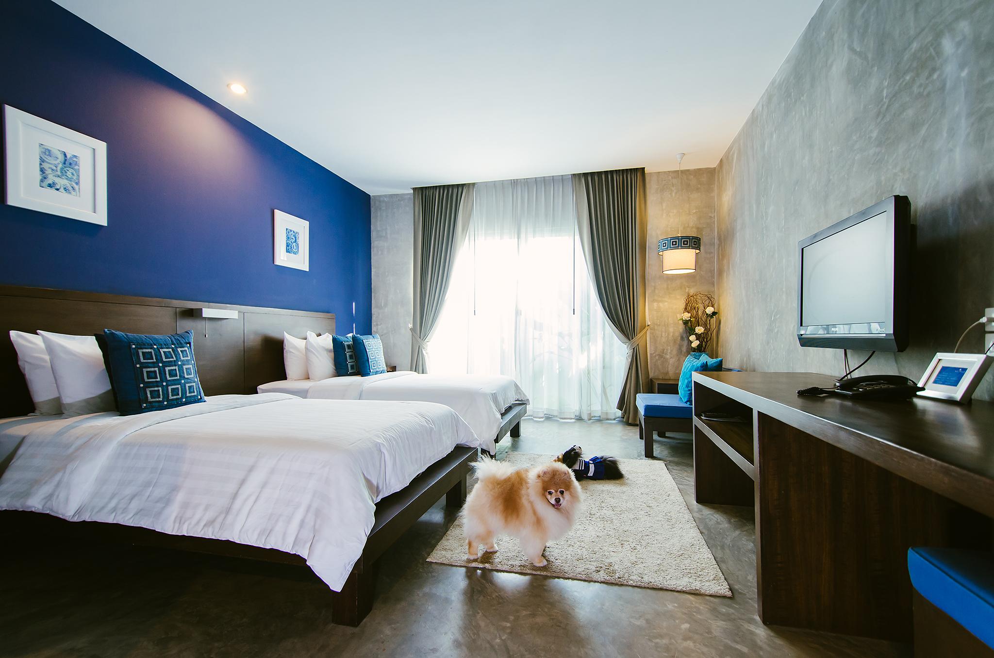 Ketawa Pet Friendly Hotel Чіангмай Екстер'єр фото