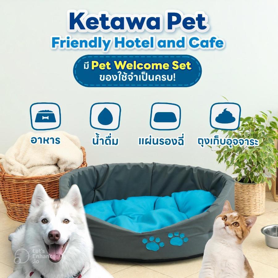 Ketawa Pet Friendly Hotel Чіангмай Екстер'єр фото