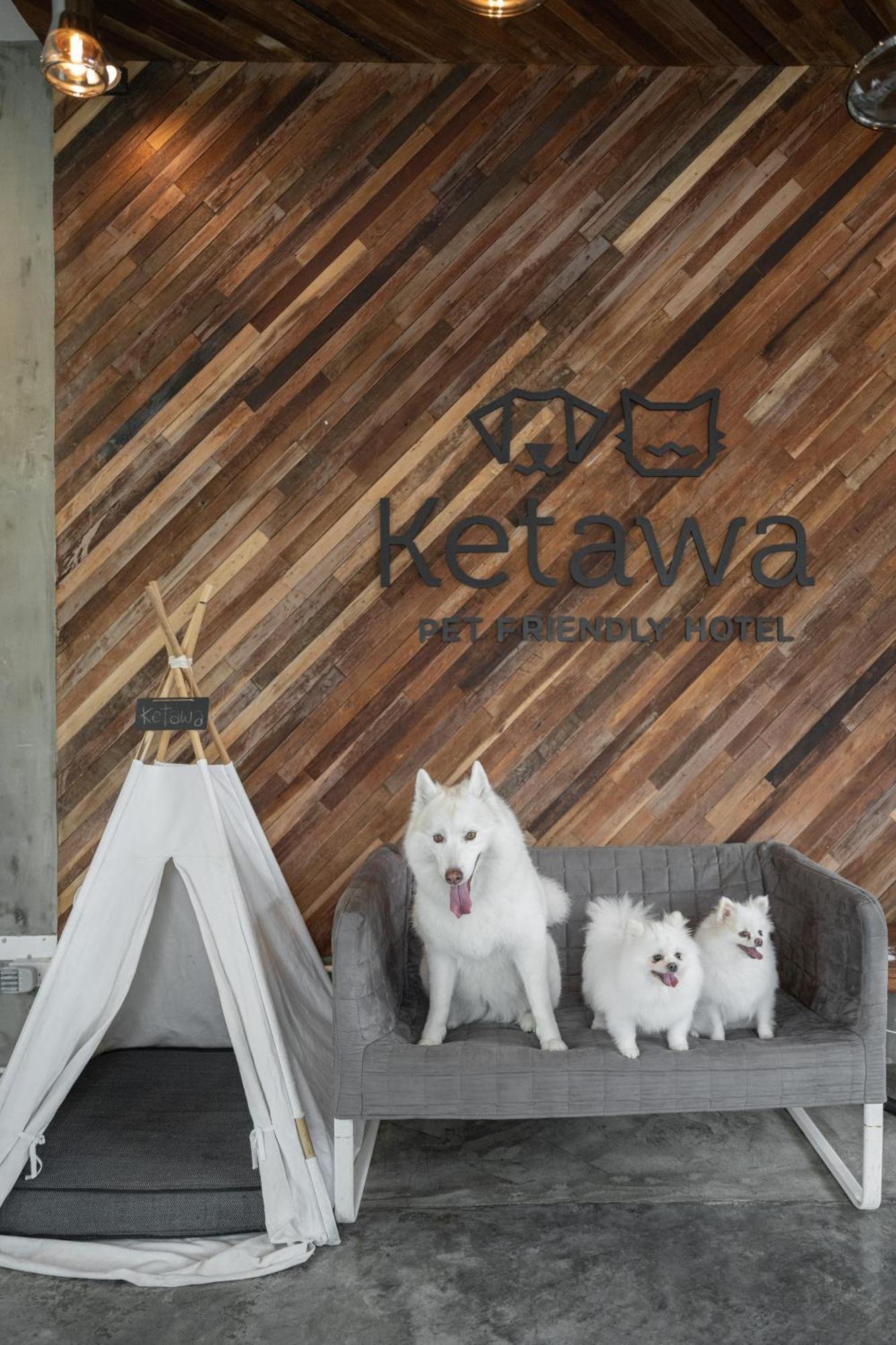 Ketawa Pet Friendly Hotel Чіангмай Екстер'єр фото