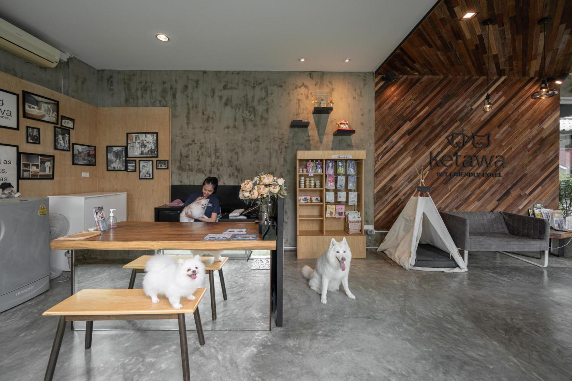 Ketawa Pet Friendly Hotel Чіангмай Екстер'єр фото